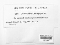 Image Associated With the Occurence